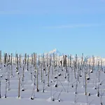 Il Grillo Parlante モンフォルテ・ダルバ
