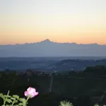 Il Grillo Parlante *