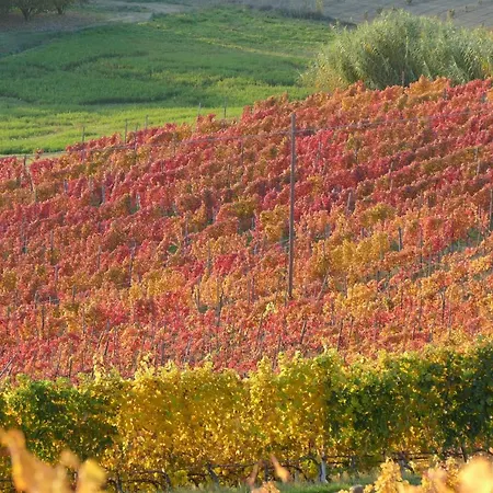 Il Grillo Parlante Casa di campagna *