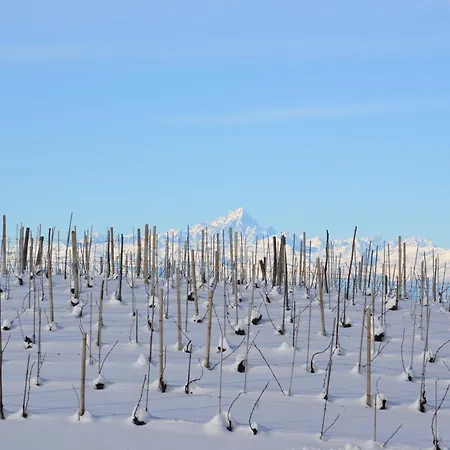 Il Grillo Parlante Monforte dʼAlba