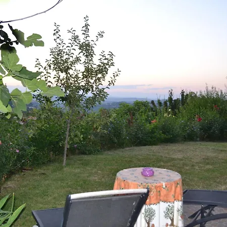 Il Grillo Parlante * Monforte dʼAlba