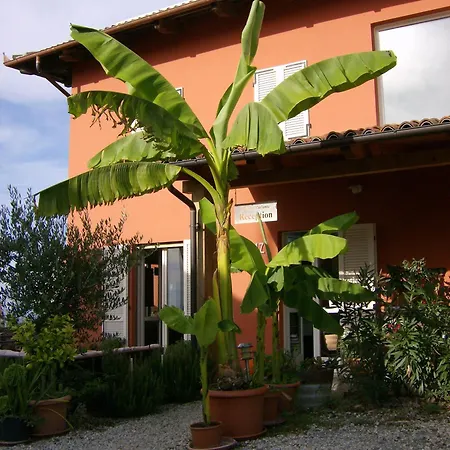 Il Grillo Parlante Monforte dʼAlba