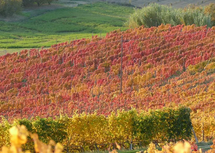 Il Grillo Parlante Landhaus *