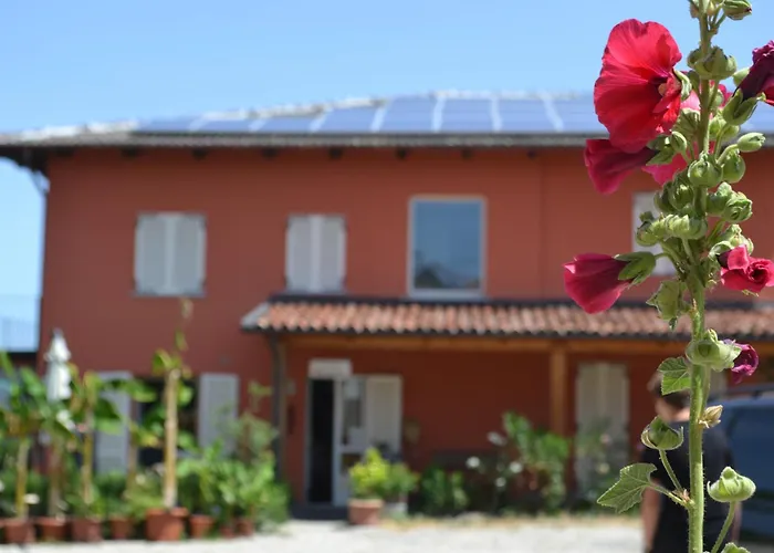 Il Grillo Parlante *