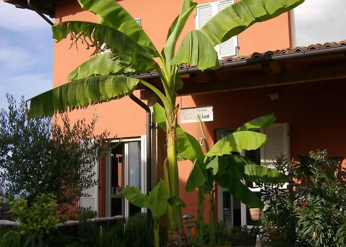 Il Grillo Parlante Monforte dʼAlba