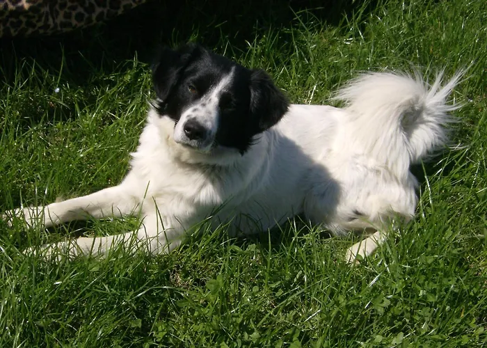 Il Grillo Parlante Landhaus Monforte dʼAlba