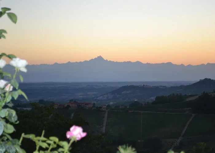 Il Grillo Parlante *