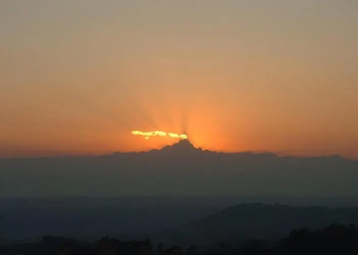 Il Grillo Parlante *