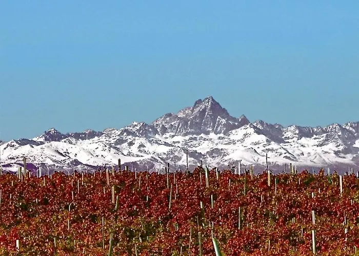 Venkovský dům Il Grillo Parlante Monforte dʼAlba